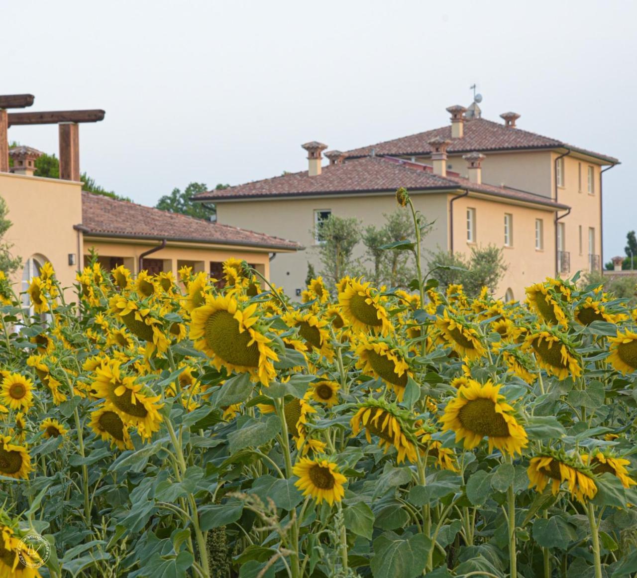 Agriturismo Villa Toscana Campiglia Marittima Zewnętrze zdjęcie