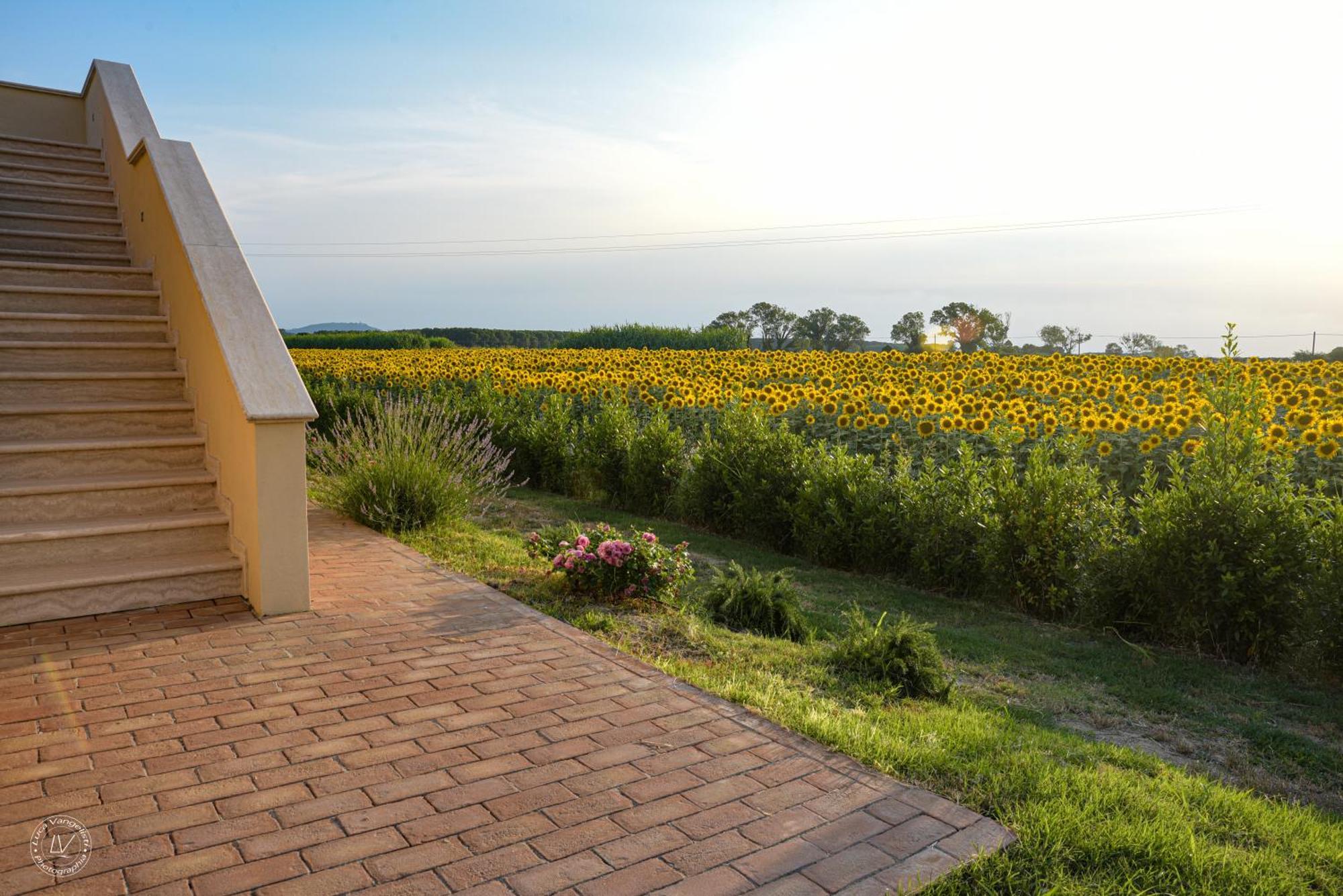 Agriturismo Villa Toscana Campiglia Marittima Zewnętrze zdjęcie