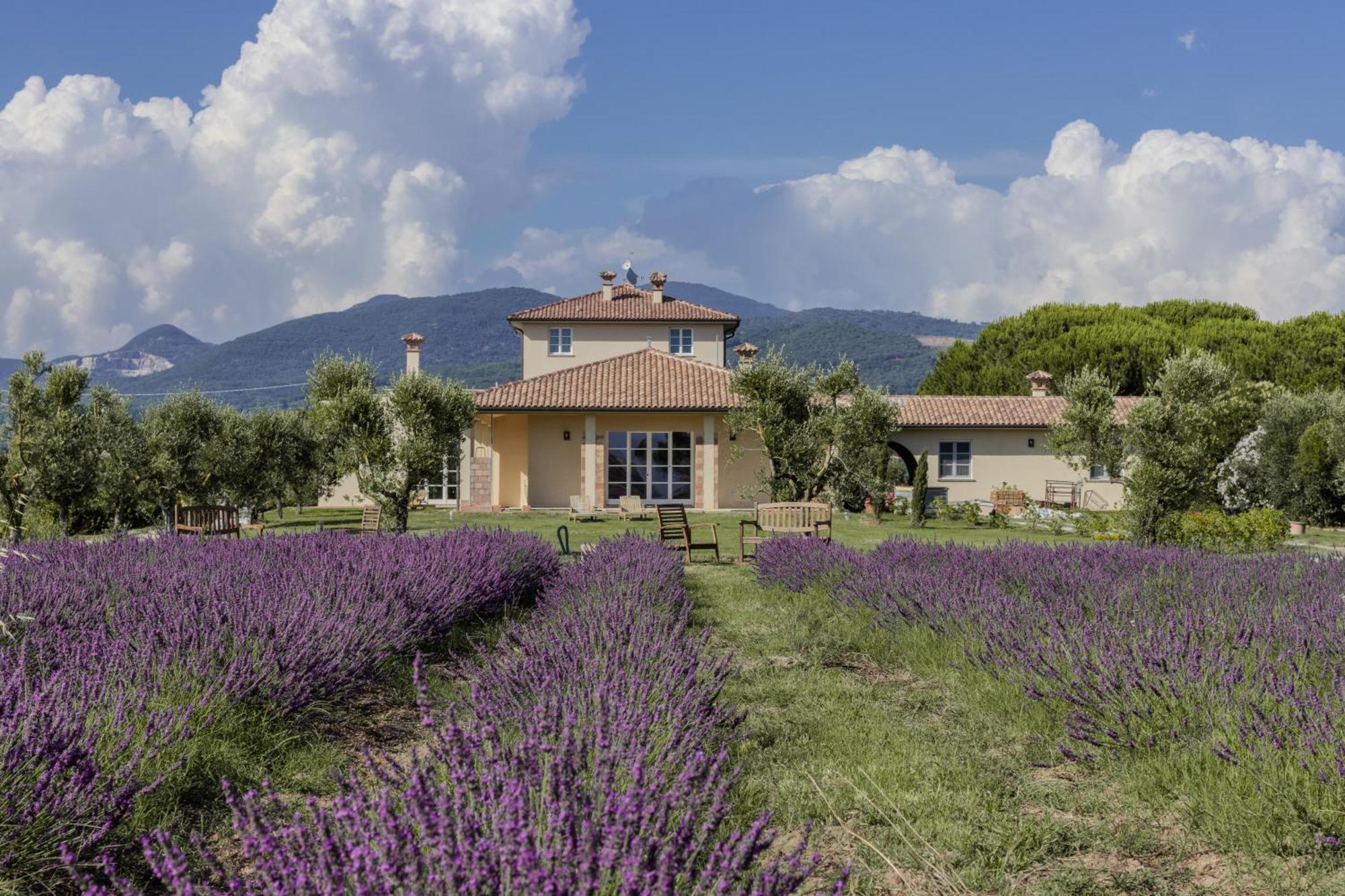 Agriturismo Villa Toscana Campiglia Marittima Zewnętrze zdjęcie